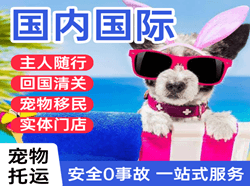 云冈航空空运国际宠物托运 【国